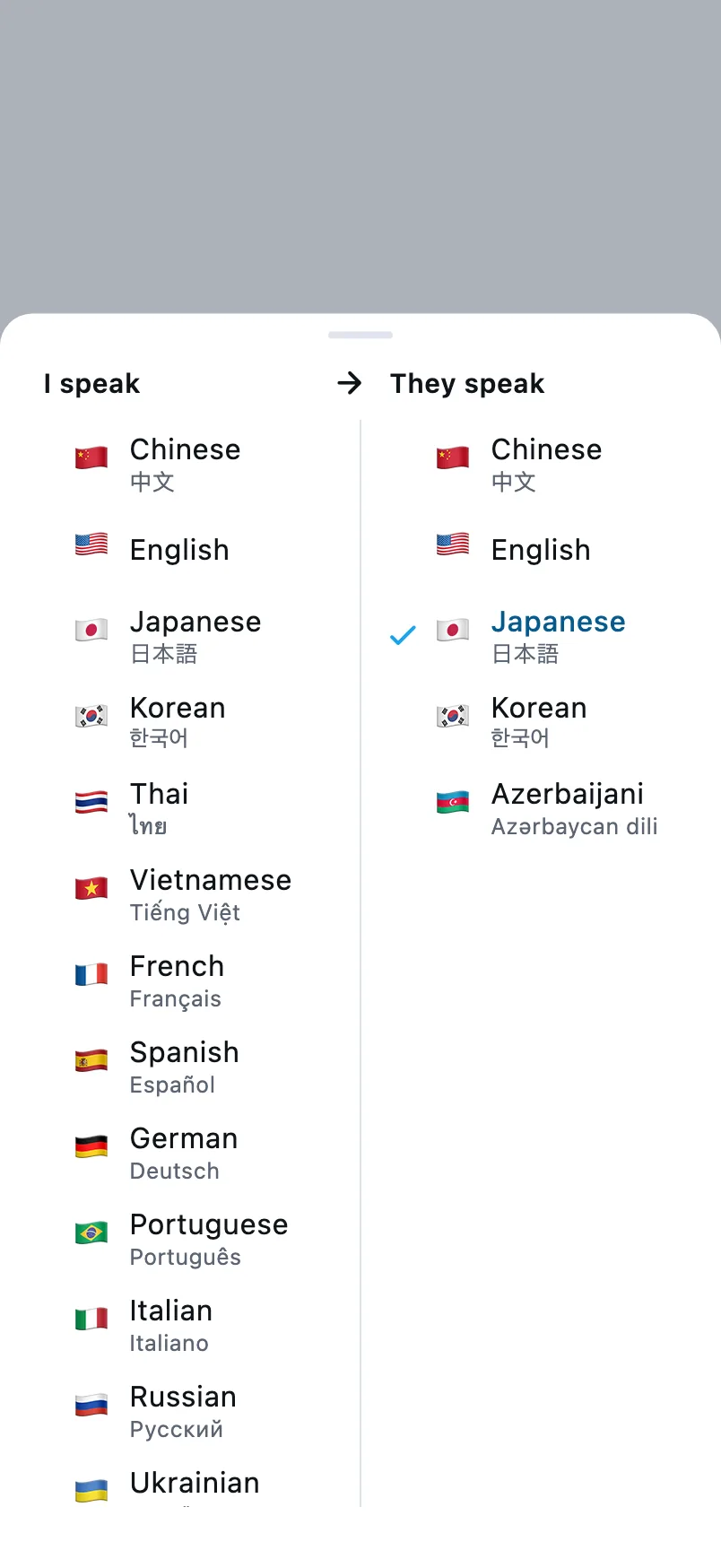 Dil seçimi: sol sütun sizin danışdığınız dil, sağ sütun qarşı tərəfin dilidir