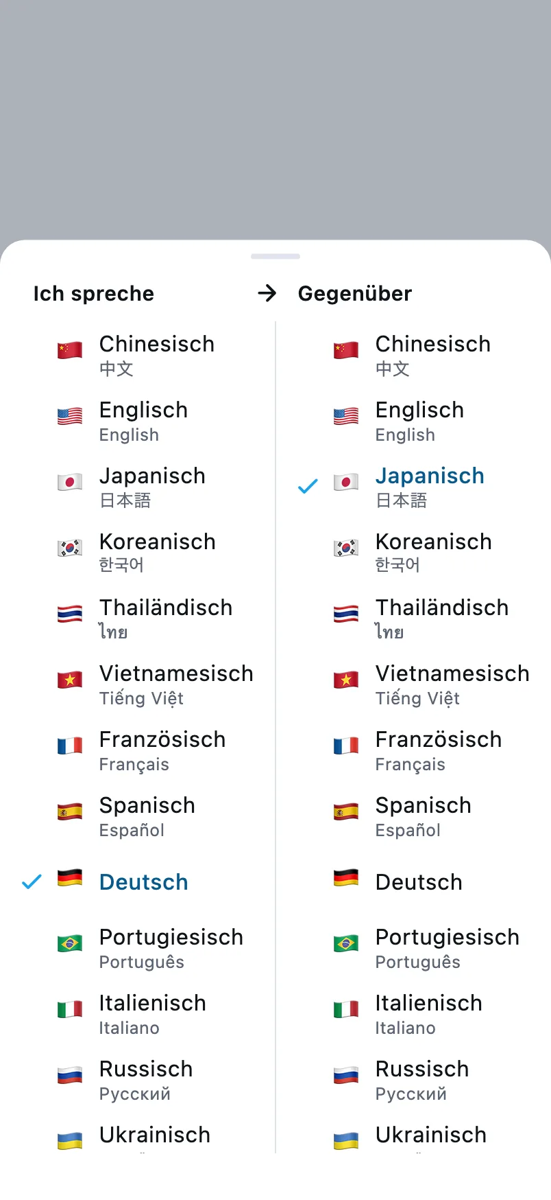 Sprachauswahl: links die Sprache, die du sprichst, rechts die deines Gegenübers