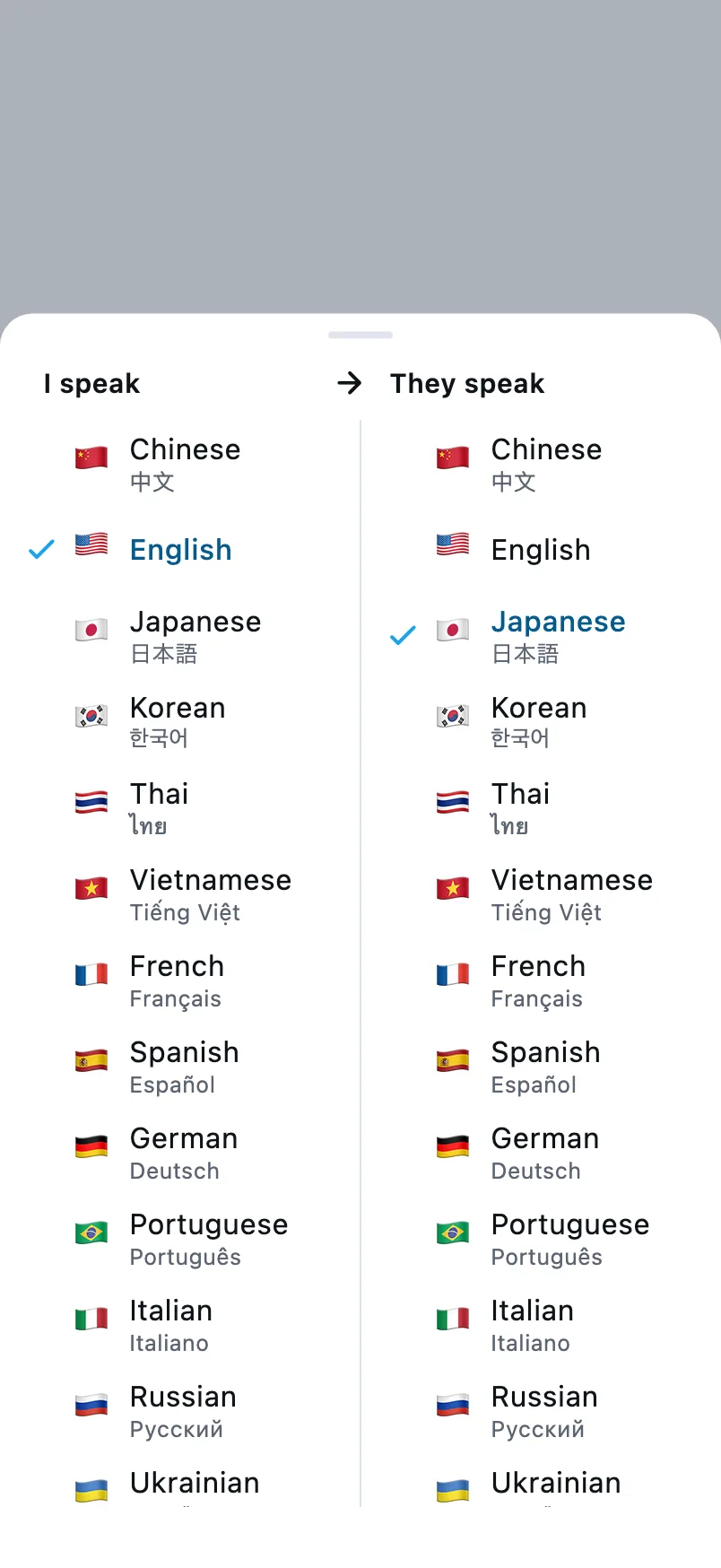 Choosing languages: the left column is the language you speak, the right column is the other person's