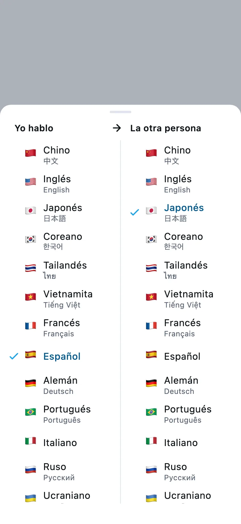 Elegir idiomas: la columna izquierda es el idioma que hablas y la derecha, el de la otra persona
