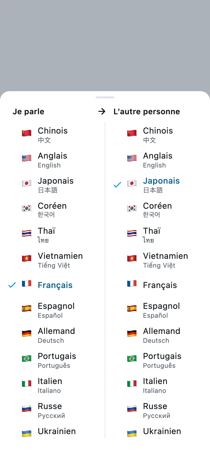 Choix des langues : à gauche la langue que vous parlez, à droite celle de l’autre personne