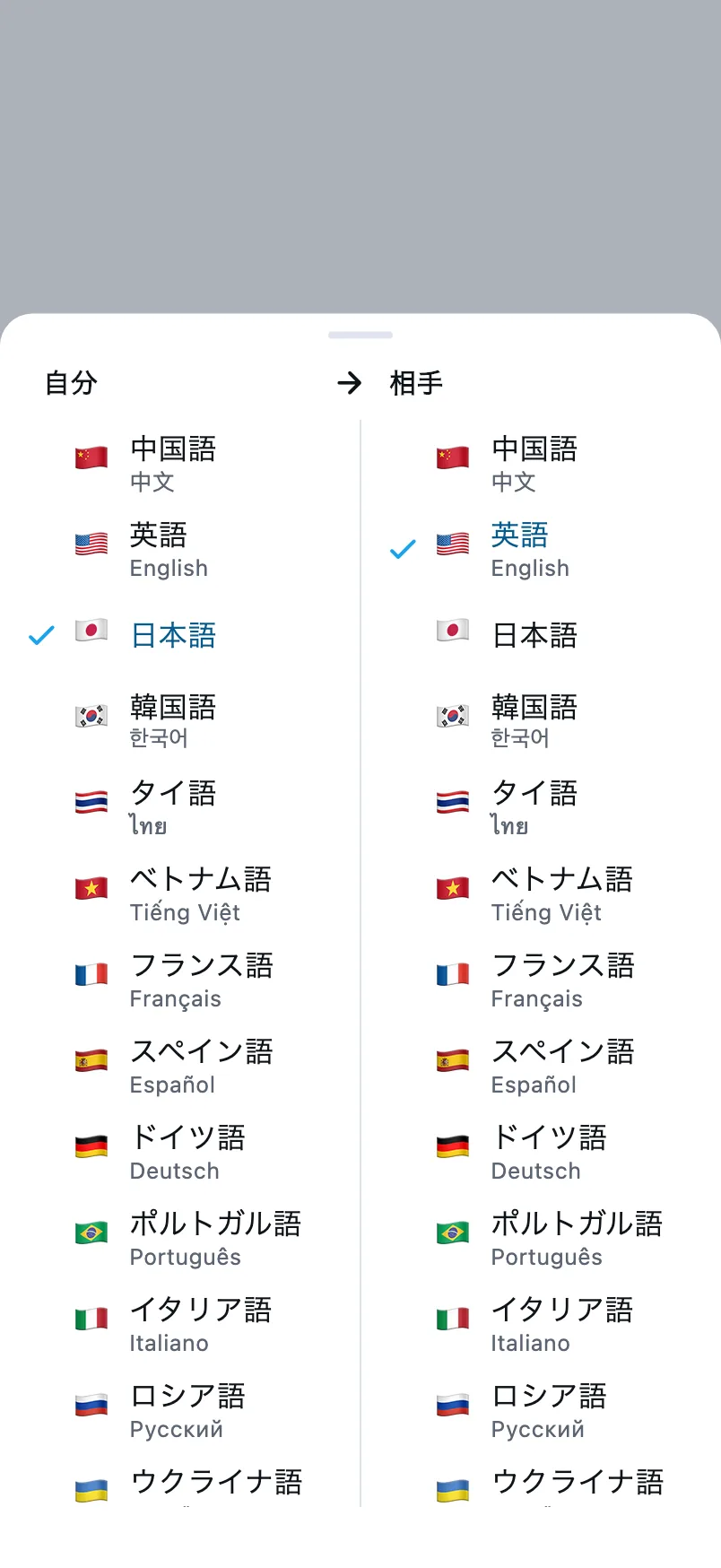 言語の選択：左の列は自分が話す言語、右の列は相手が話す言語