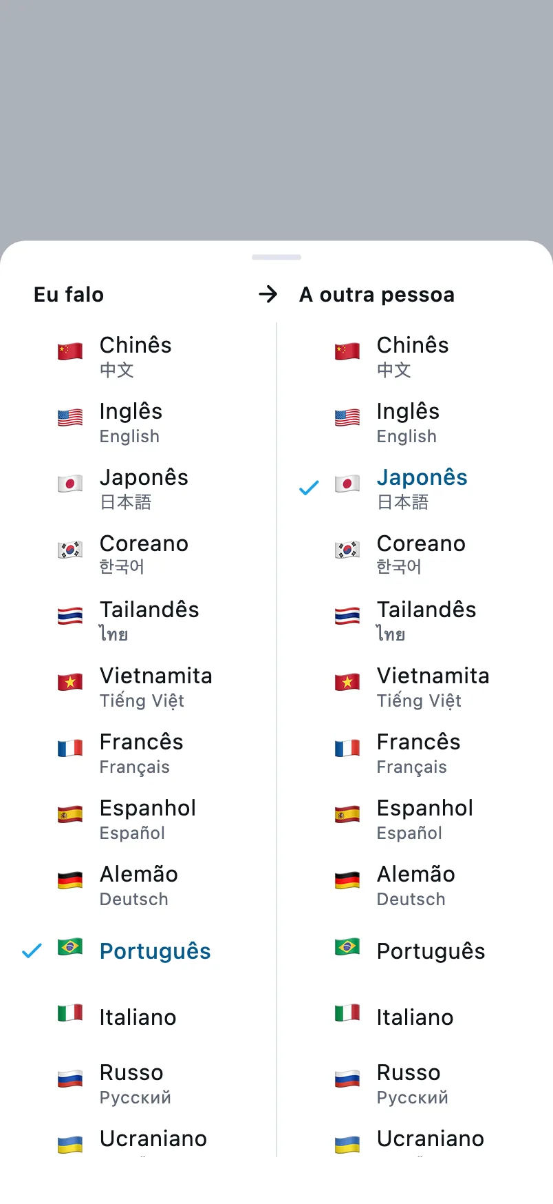 Escolha de idiomas: a coluna da esquerda é o idioma que você fala, a da direita é o da outra pessoa