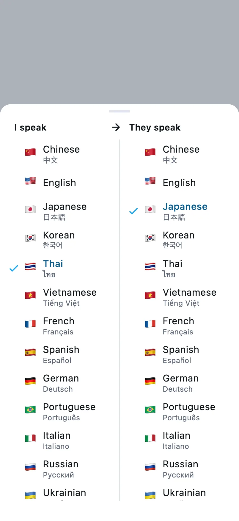 เลือกภาษา: คอลัมน์ซ้ายคือภาษาที่คุณพูด คอลัมน์ขวาคือภาษาที่อีกฝ่ายพูด