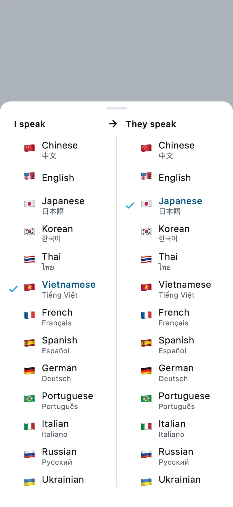 Chọn ngôn ngữ: cột trái là ngôn ngữ bạn nói, cột phải là ngôn ngữ người kia nói