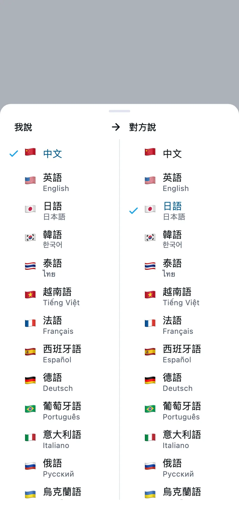 選擇語言:左欄是我說的語言,右欄是對方說的語言