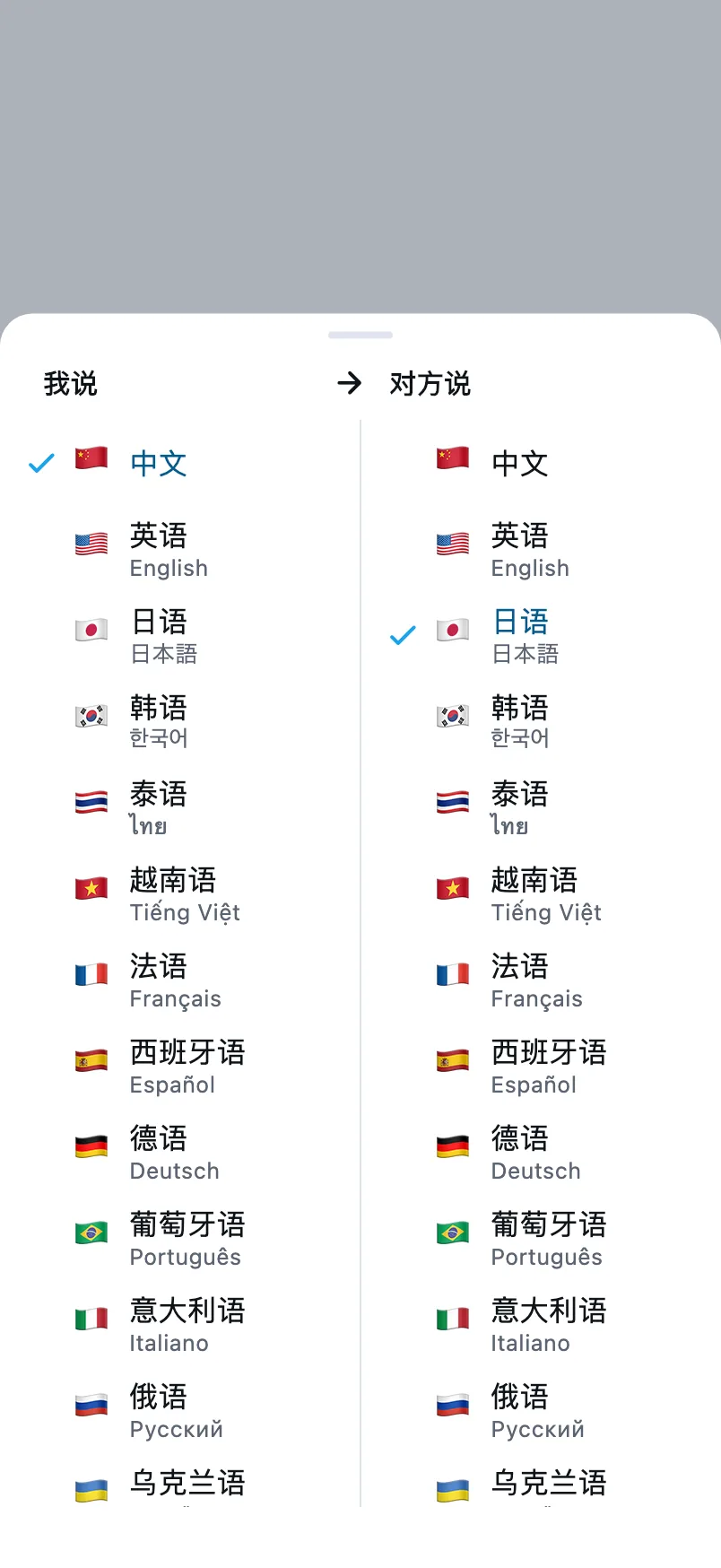 选择语言：左栏是我说的语言，右栏是对方说的语言